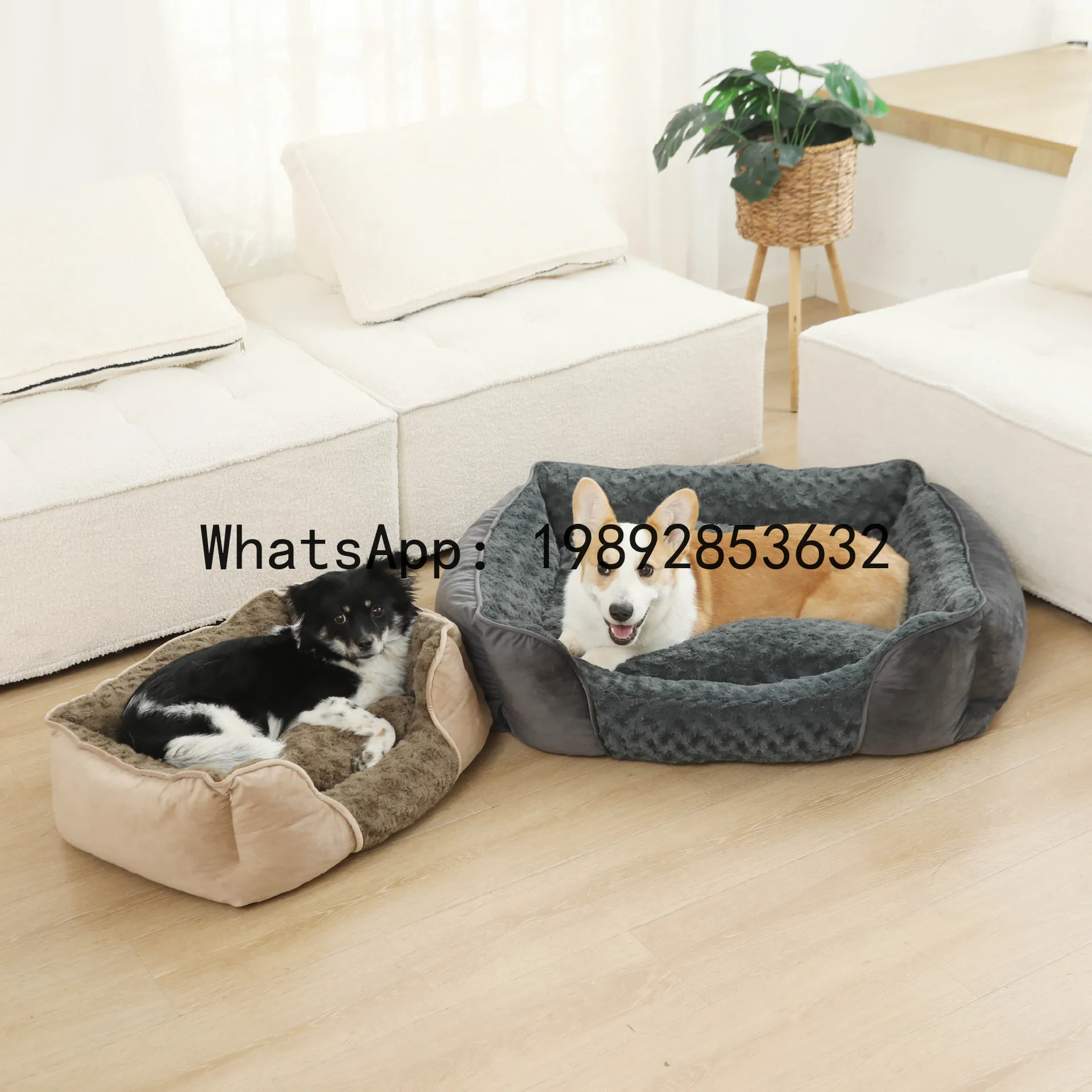 Pet X Supplies & Tack Howell Photos - Rumah kucing X, kandang anjing semi-tertutup,