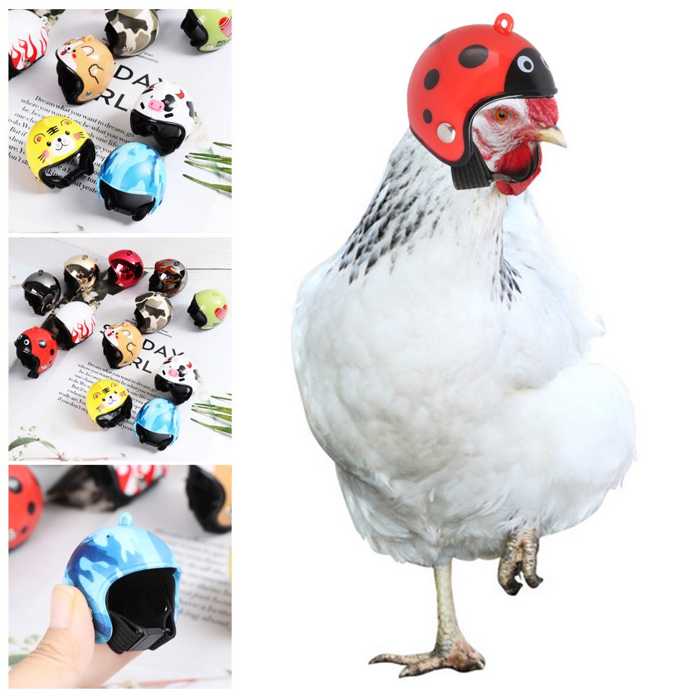 Pet X Supplies & Tack Howell Photos - Perlengkapan Hewan Peliharaan Lucu ABS, Pelindung