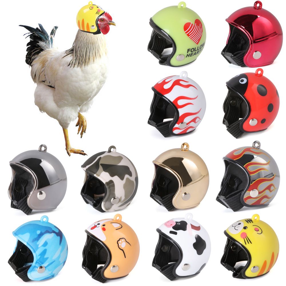 Perlengkapan Hewan Peliharaan  - Pet X Supplies & Tack Howell Photos ulasan dan harga
