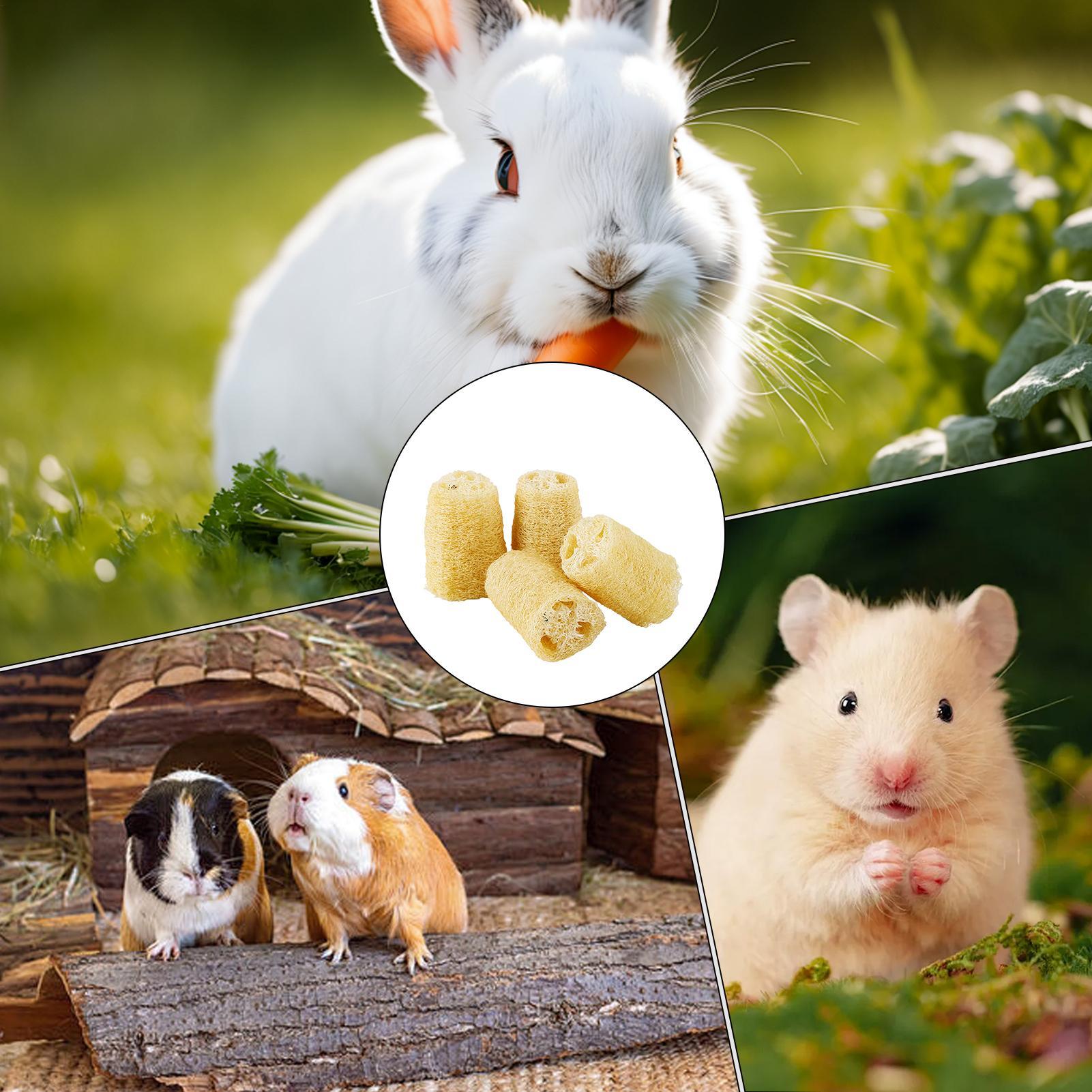 Mainan Kunyah Untuk Kelinci 4  - Pet Supplies Pet Shop ulasan dan harga