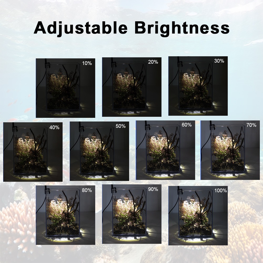 Lampu Akuarium LED Super Tipis - Pet Supplies Pet Shop ulasan dan harga